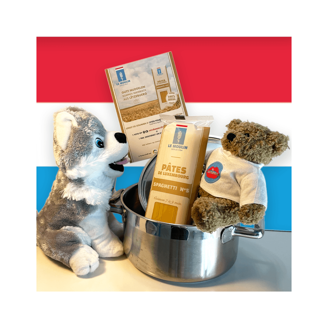 Référencement naturel : MyLuxembourg 4