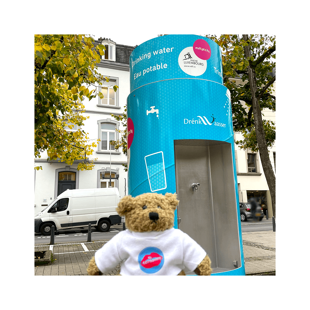 Référencement naturel : MyLuxembourg 12