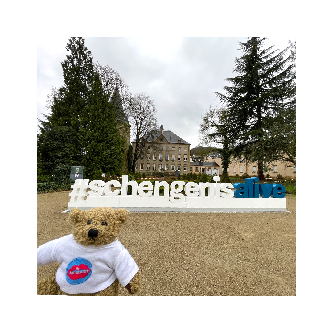 Référencement naturel : MyLuxembourg 15