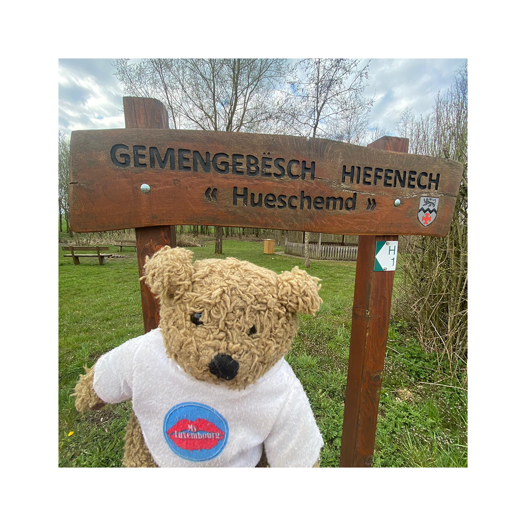 Référencement naturel : MyLuxembourg 13