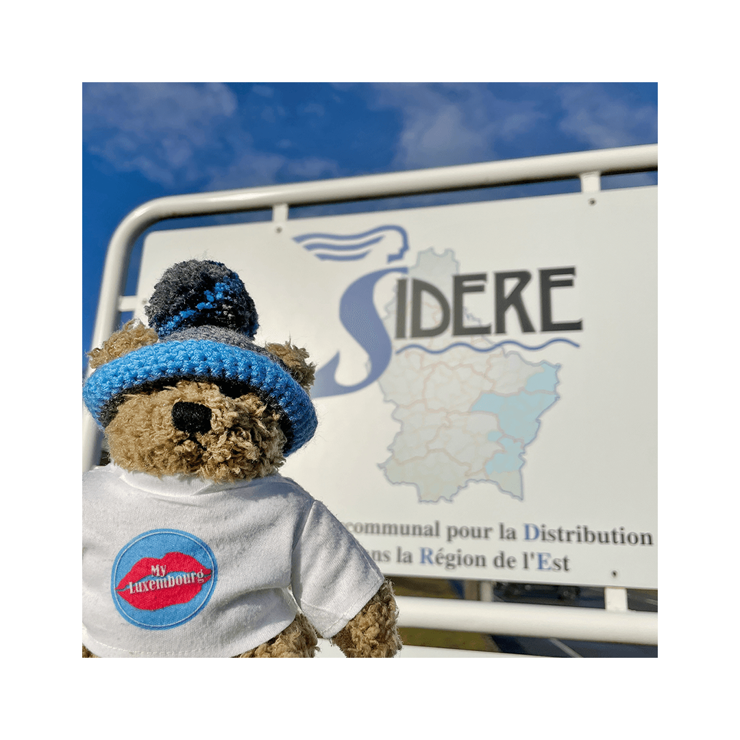 Référencement naturel : MyLuxembourg 9